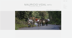 Desktop Screenshot of mauriciovidal.net