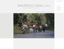 Tablet Screenshot of mauriciovidal.net